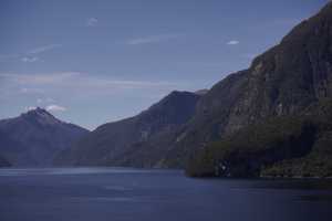FIORDLAND-NATIONAL-PARK-2019 (257)